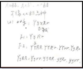 1717644646894002015.png